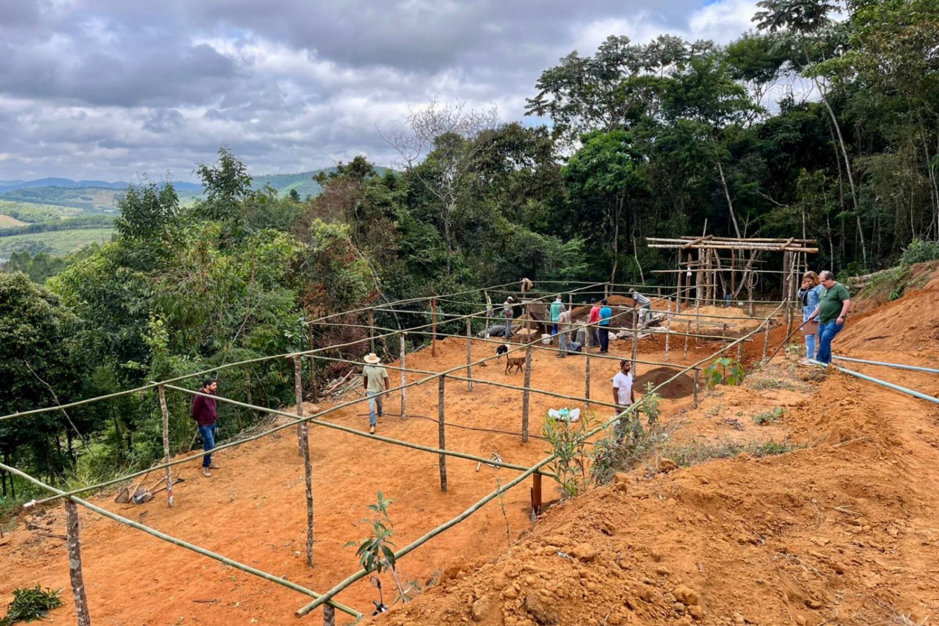 Agricultores de Santa Rita de Ouro Preto iniciam produção coletiva de mudas de café com apoio técnico da Prefeitura e da Emater