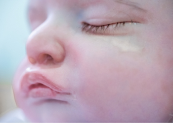 Reborns e o esvaziamento relacional na sociedade