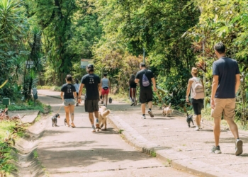 Itabirito ganha novo espaço para pets no Parque Ecológico Municipal