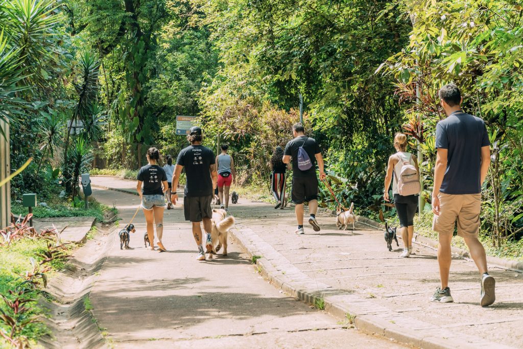 Itabirito ganha novo espaço para pets no Parque Ecológico Municipal