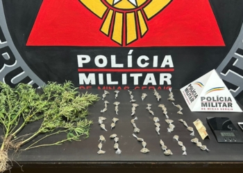 PM encontra pés de maconha em Itabirito após prisão em Cachoeira do Campo