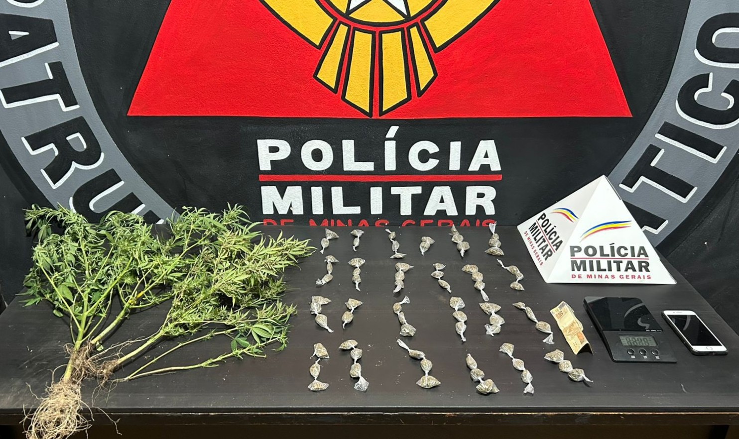 PM encontra pés de maconha em Itabirito após prisão em Cachoeira do Campo