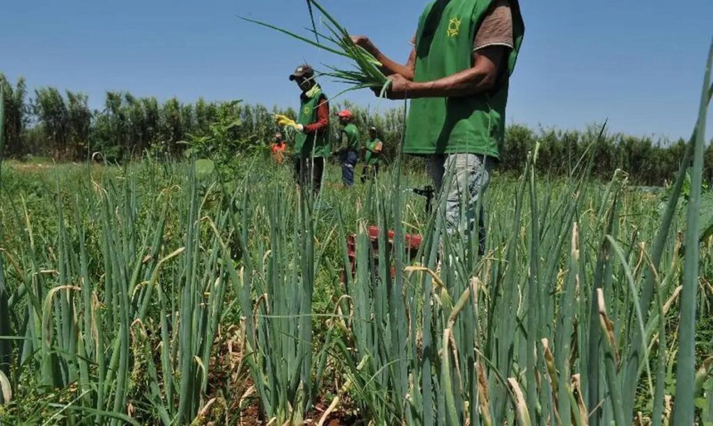 Produtores rurais de Mariana podem regularizar dívidas pelo Refis Rural
