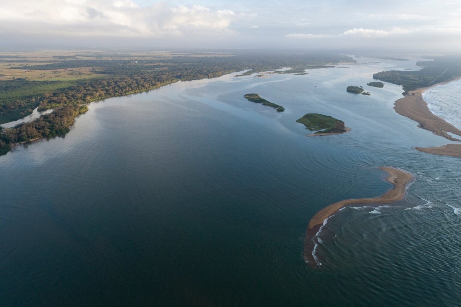 Pesquisa inédita analisa a vida marinha após o desastre do Rio Doce Pesquisa inédita analisa a vida marinha após o desastre do Rio Doce