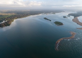Pesquisa inédita analisa a vida marinha após o desastre do Rio Doce