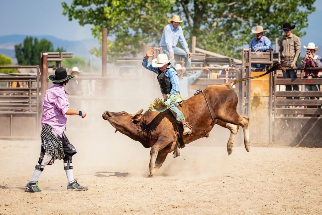 Prefeitura de Ouro Branco acata pedido do MP e cancela rodeio da 39ª edição do Festival da Batata Prefeitura de Ouro Branco acata pedido do MP e cancela rodeio da 39ª edição do Festival da Batata
