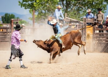 Prefeitura de Ouro Branco acata pedido do MP e cancela rodeio da 39ª edição do Festival da Batata