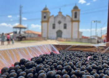 Rock, blues e jabuticaba: Cachoeira do Campo vive fim de semana de festa e tradição