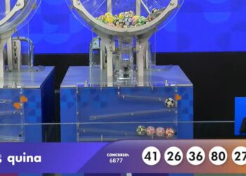 Números do sorteio da Quina 6877