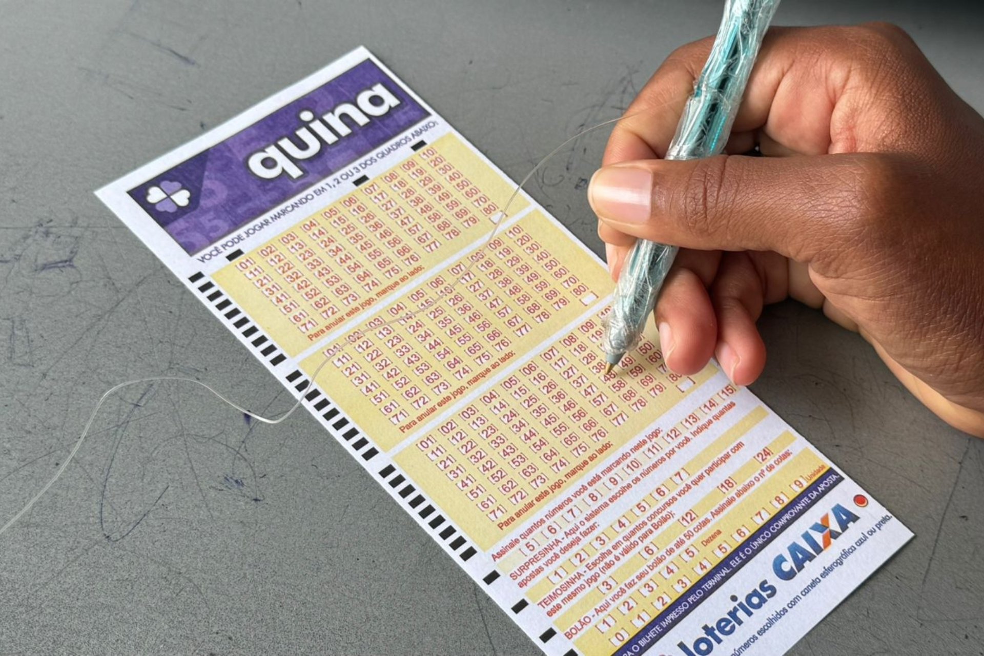 Último sorteio da semana: Resultado da Quina 6879 de hoje, sexta-feira (14/11/25)