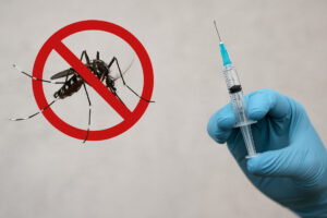 Brasil deve ter vacina nacional contra a dengue em dose única em 2026 Brasil deve ter vacina nacional contra a dengue em dose única em 2026