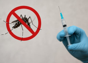 Brasil deve ter vacina nacional contra a dengue em dose única em 2026