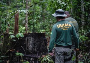 IBAMA e INCRA abrem seleção com 60 vagas temporárias para nível superior IBAMA e INCRA abrem seleção com 60 vagas temporárias para nível superior
