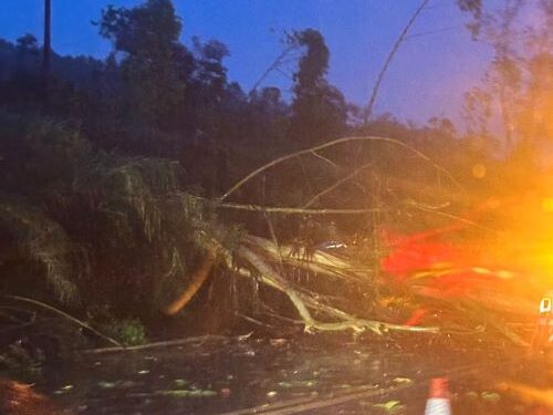 Tempestade provoca quedas de árvores e interdições na BR-040 entre Congonhas e Cristiano Otoni
