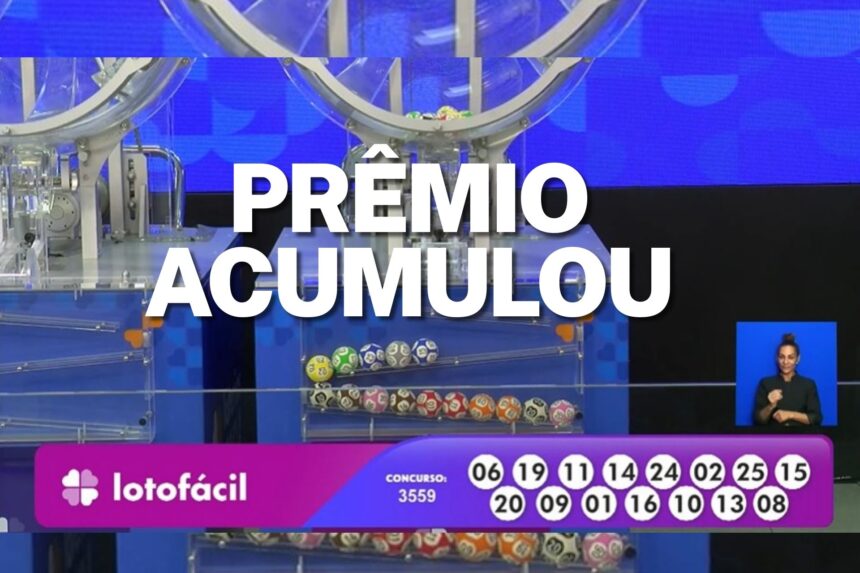Resultado da Lotofácil 3559: ninguém acerta e prêmio vai a R$ 10 milhões