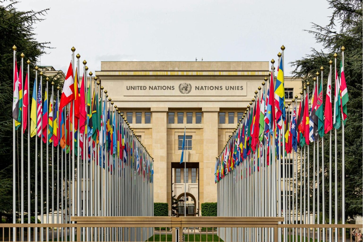 A ONU ainda tem alguma função? A ONU ainda tem alguma função?