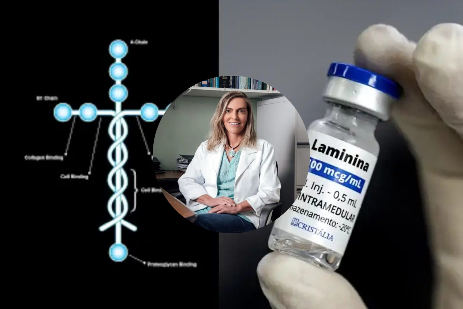 Laminina é a "Proteína de Deus"? Molécula que reacende a esperança para tetraplégicos tem forma de cruz, diz pesquisadora