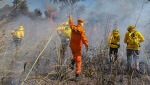 Bombeiros de MG abrem seleção com 280 vagas para brigadistas florestais com inscrições gratuitas Bombeiros de MG abrem 280 vagas para brigadistas florestais com inscrições gratuitas