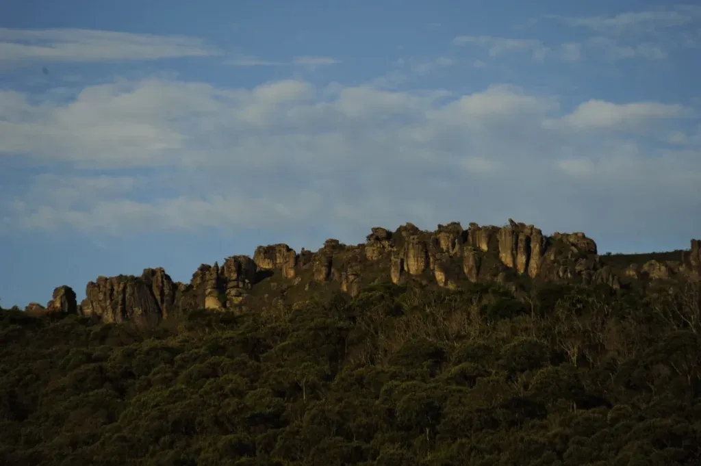 Parque Estadual do Itacolomi está com cinco vagas abertas para atuação presencial na unidade entre Ouro Preto e Mariana Parque Estadual do Itacolomi está com cinco vagas abertas para atuação presencial na unidade entre Ouro Preto e Mariana