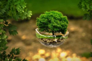 IFMG abre inscrições para mestrado gratuito em sustentabilidade e tecnologia ambiental com aulas presenciais em Minas Gerais