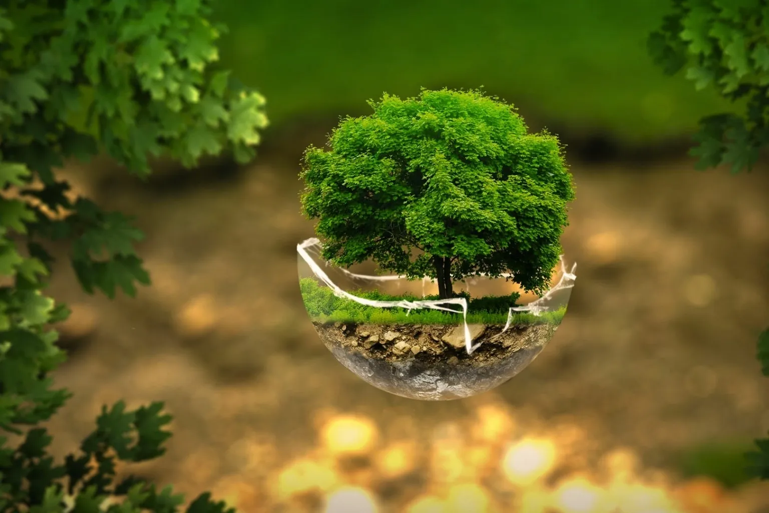 IFMG abre inscrições para mestrado gratuito em sustentabilidade e tecnologia ambiental com aulas presenciais em Minas Gerais