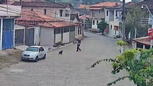 Guarda Civil de Mariana procura suspeito de agredir animal em Cachoeira do Brumado Guarda Civil de Mariana procura suspeito de agredir animal em Cachoeira do Brumado