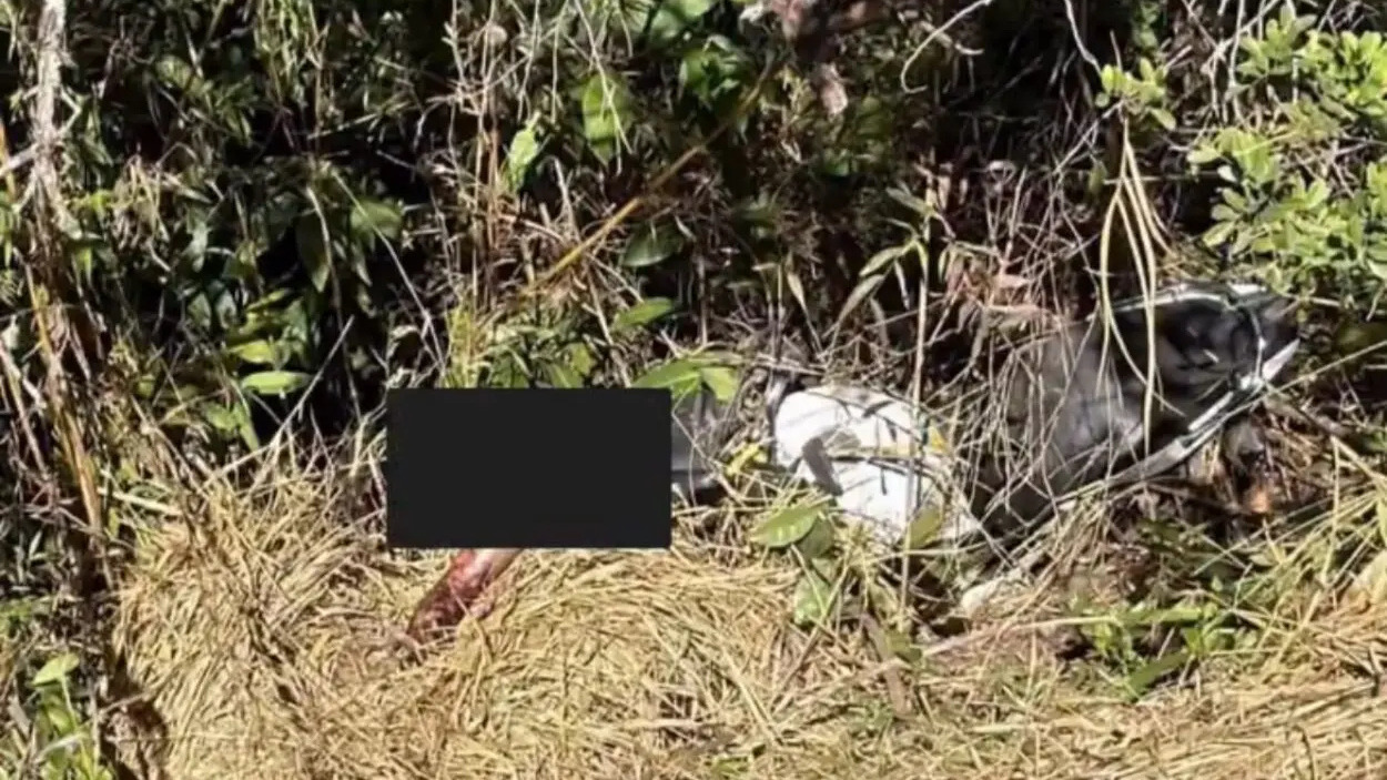 O que se sabe sobre o corpo do homem encontrado na mata em Mariana
