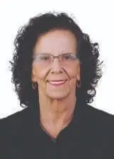 GERALDO VALE - Eleições 2026