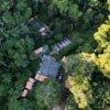 Pesquisa da UFV e Samarco identifica 22 espécies ameaçadas de extinção na Bacia do Rio Doce