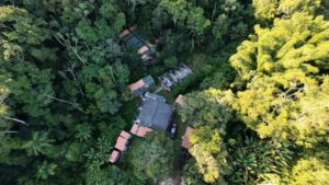 Pesquisa da UFV e Samarco identifica 22 espécies ameaçadas de extinção na Bacia do Rio Doce Pesquisa da UFV e Samarco identifica 22 espécies ameaçadas de extinção na Bacia do Rio Doce