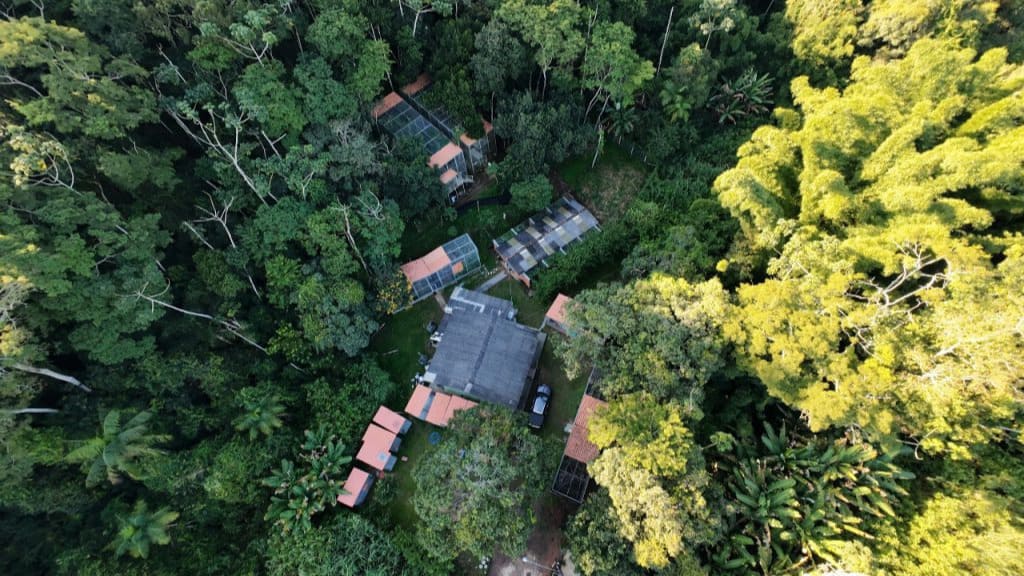 Pesquisa da UFV e Samarco identifica 22 espécies ameaçadas de extinção na Bacia do Rio Doce