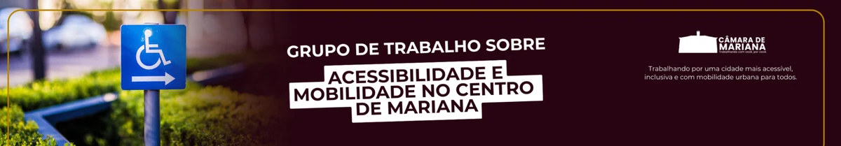 Grupo de Trabalho sobre Acessibilidade