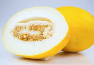 Comer melão com frequência faz bem? Veja 4 benefícios da fruta para a saúde