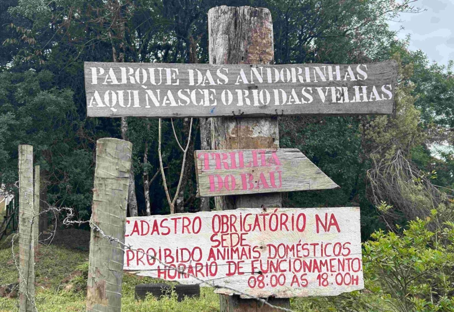Parque das Andorinhas ganha novas estruturas após revitalização de trilhas em Ouro Preto