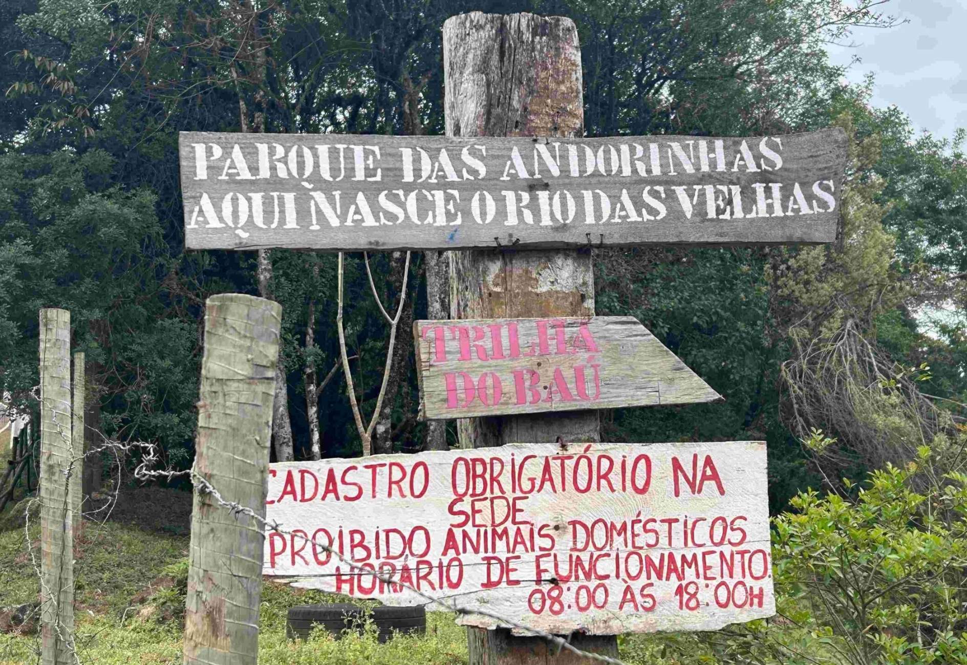 Parque das Andorinhas ganha novas estruturas após revitalização de trilhas em Ouro Preto