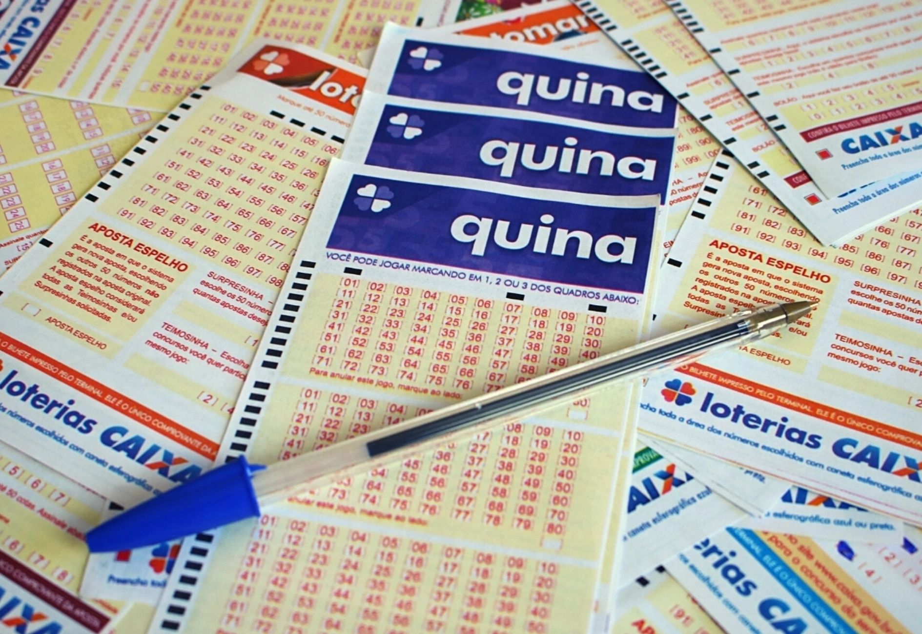 Quina concurso 7100: confira o resultado desta segunda-feira (24/08/26)