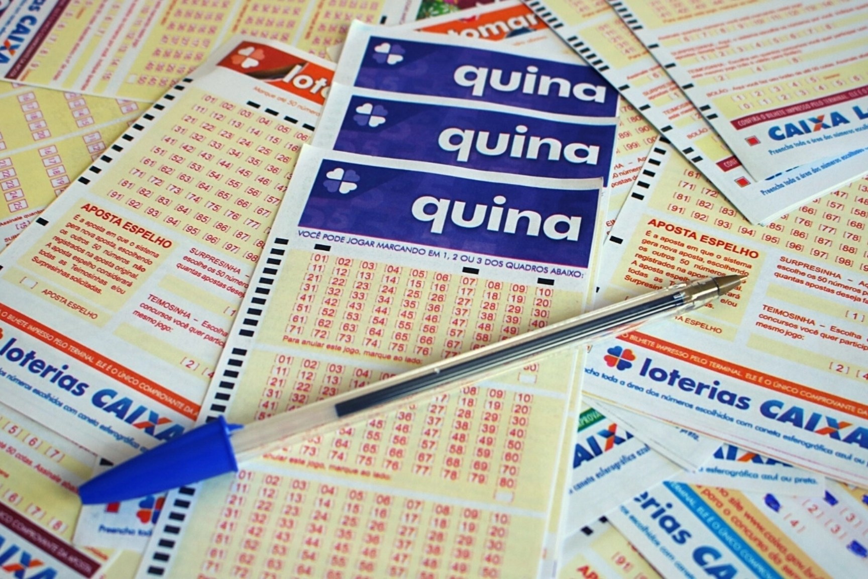 Quina concurso 7084: confira o resultado desta quarta-feira (05/08/26)