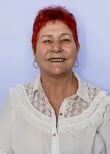 CIDA DA FEIRA - Eleições 2026
