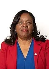 PROFESSORA ELISETE - Eleições 2026